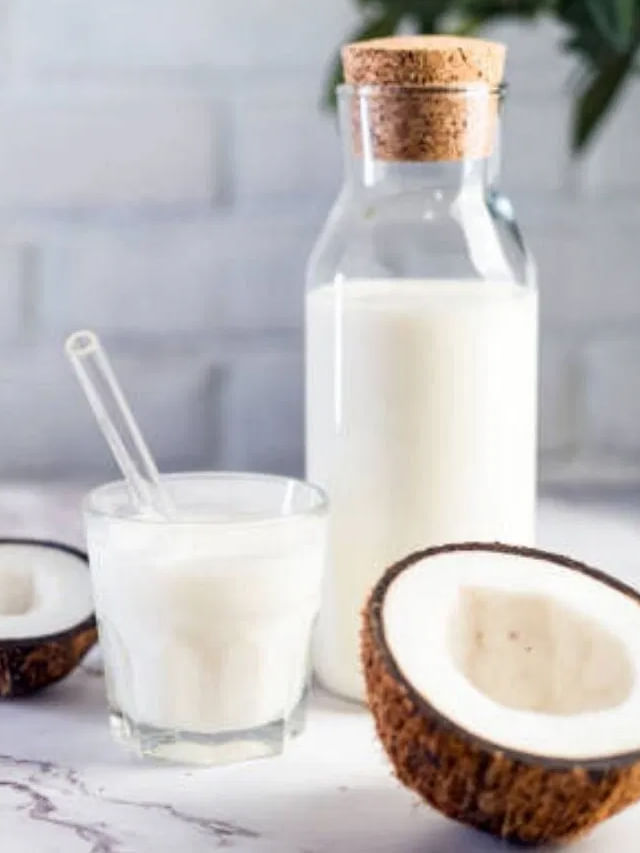 కొబ్బరి పాల టీతో ఆరోగ్యానికి ఎంతో మేలు.. తయారీ విధానం మీ కోసం TV9 Telugu