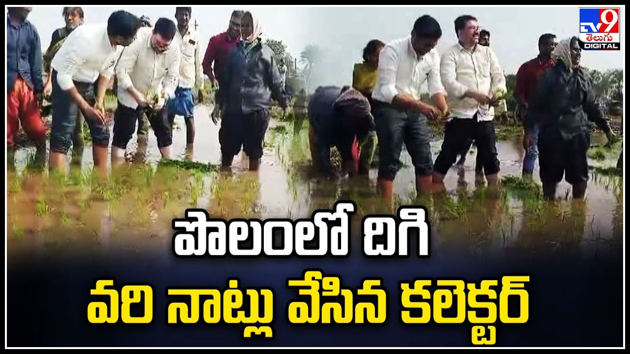 Collector Farming: హోదాను పక్కన పెట్టి.. పొలంలో దిగి వరి నాట్లు వేసిన కలెక్టర్.