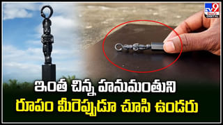 Viral Video: తనను వేటాడాలనుకున్న పులిని చిన్న ట్రిక్ తో బోల్తా కొట్టించిన బాతు.. వీడియోకి 2 కోట్ల వ్యూస్ సొంతం