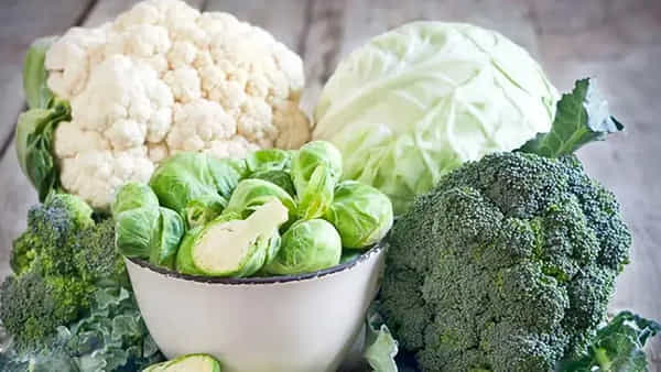 Diabetes Diet: క్యాబేజీ, క్యాలీఫ్లవర్ తింటే మధుమేహ వ్యాధిగ్రస్తుల్లో షుగర్ లెవల్స్ పెరుగుతాయా?