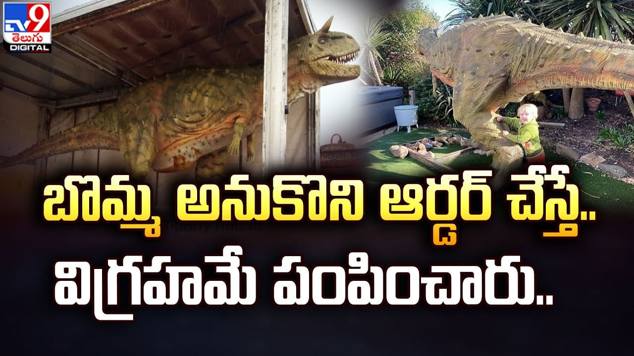 బొమ్మ అనుకొని ఆర్డర్ చేస్తే.. విగ్రహమే పంపించారు బొమ్మ అనుకొని ఆర్డర్ చేస్తే.. విగ్రహమే పంపించారు