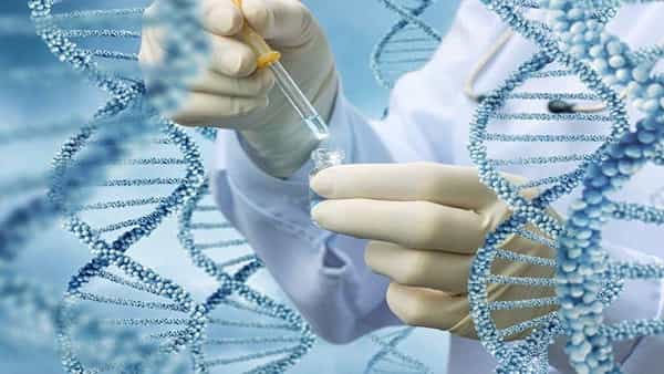 DNA Test: క్యాన్సర్ మరణాలకు చెక్ పెట్టేలా నయా పరిశోధనలు… ఆ పరీక్షతో 18 రకాల క్యాన్సర్ల గుర్తింపు