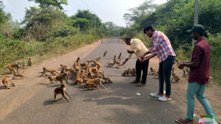 AP News: నీటిలో తేలుతూ కనిపించిన తెల్లటి ఆకారాలు.. ఏంటని వెళ్లి చూడగా.!
