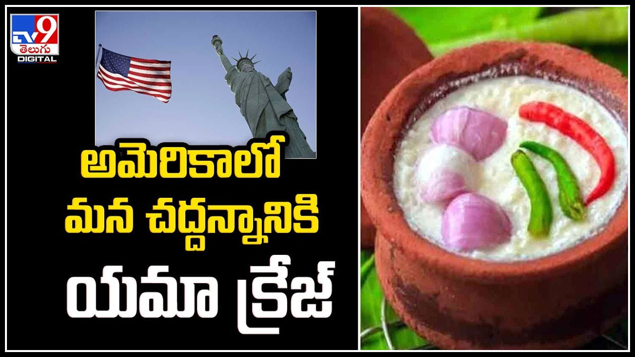 Curd Rice in USA: అమెరికాలో మన చద్దన్నానికి యమా క్రేజ్‌.! చద్దన్నం ధర తెలిస్తే షాకే.!