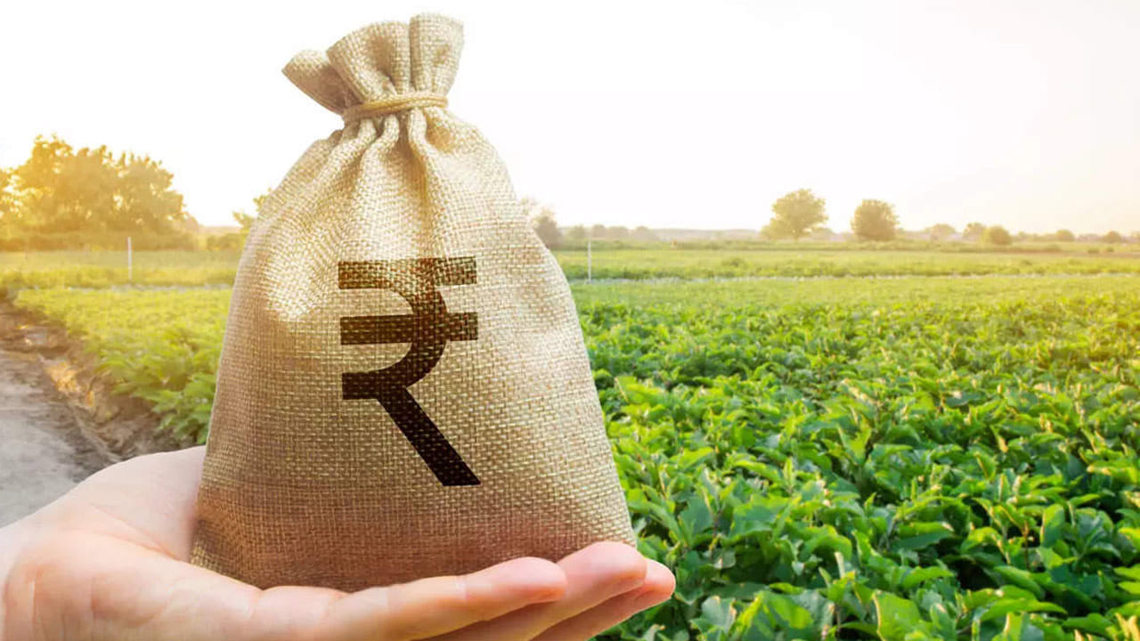 ఈ మధ్యంతర బడ్జెట్లో ఆహారం, ఎరువుల సబ్సిడీలకు పెద్దపీట వేయనున్నట్లు తెలుస్తోంది. ఇందుకు గాను కేంద్రం ఈసారి 4 ట్రిలియన్లు కేటాయించాలని భావిస్తోందని సమాచారం. ఈ అంచాలు గత ఆర్థిక సంవత్సరంతో పోల్చితే 10 శాతం ఎక్కువ. ప్రభుత్వం ఈ నిర్ణయాన్ని నిజంగానే ఇంప్లిమెంట్ చేస్తే రైతులకు ఎంతో మేలు జరగనుంది.