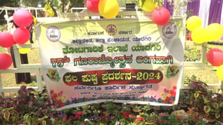 Bay Leaves Benefits: ఎలాంటి మూత్ర సమస్యలకైనా బిర్యానీ ఆకుతో చెక్ పెట్టొచ్చు!