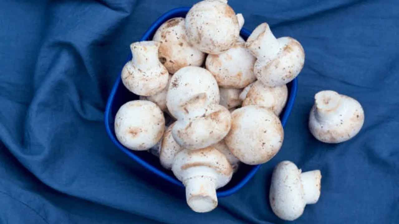 మానసిక ఆరోగ్యాన్ని మెరుగుపరచడంలో ఆహారం ప్రత్యేక పాత్ర పోషిస్తుంది. మానసిక ఆరోగ్యానికి అవసరమైన అనేక ఆహారాలు ఉన్నాయి. 'ఫీల్-గుడ్' హార్మోన్లను విడుదల చేయడంలో ఇవి సహాయపడతాయి. పుట్టగొడుగుల్లో విటమిన్ డి పుష్కలంగా ఉంటుంది. ఈ ఆహారాలలో యాంటీ డిప్రెషన్ గుణాలు కూడా ఉంటాయి. అంతేకాకుండా విటమిన్ డి మానసిక స్థితిని మెరుగుపరచడంలో సహాయపడుతుంది.