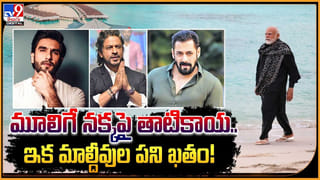 Shah Rukh Khan: ఆస్కార్ బరిలో షారుఖ్ ఖాన్ సినిమా.. ఏకంగా మూడోసారి అవార్డ్ కోసం బాద్ షా..