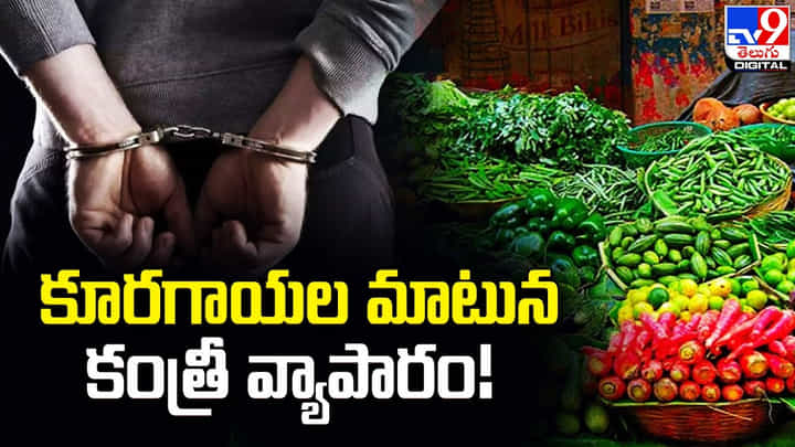 కూరగాయల మాటున కంత్రీ వ్యాపారం.. గుంటూరు నుంచి మహరాష్ట్రకు తరలింపు కూరగాయల మాటున కంత్రీ వ్యాపారం.. గుంటూరు నుంచి మహరాష్ట్రకు తరలింపు