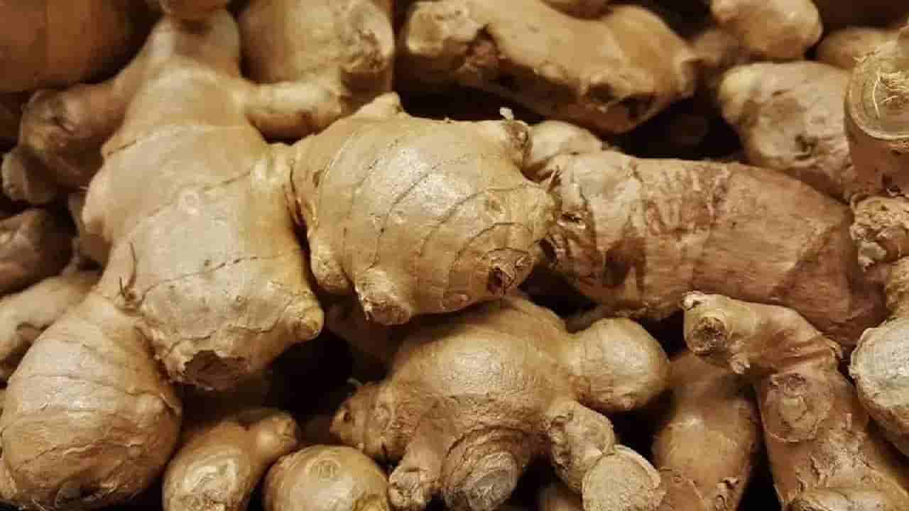 Ginger: అల్లంతో ఆరోగ్యం మాత్రమే కాదు.. అందమైన కురులు కూడా..