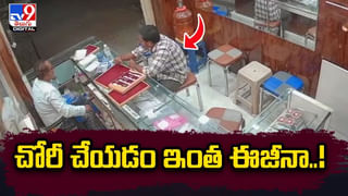 కెమెరాకు చిక్కిన అరుదైన గోల్డెన్‌ టైగర్‌.. సోషల్ మీడియాలో వైరల్ గా మారిన వీడియో