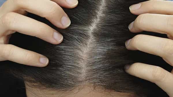 Gray Hair Home Remedies: కొబ్బరినూనెలో ఈ రెండు పదార్థాలను మిక్స్ చేసి తలకు పట్టిస్తే.. తెల్లజుట్టు సమస్య పరార్..