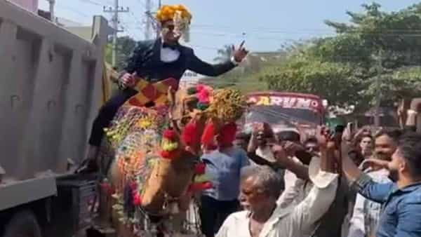 ఒంటెపై ఊరేగిన వరుడికి ఝలక్ ఇచ్చిన పోలీసులు... 26 మందిపై కేసు నమోదు.. ఏం జరిగిందంటే..