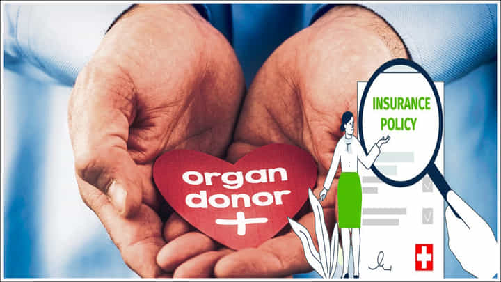Health Insurance: హెల్త్ ఇన్సూరెన్స్లో అవయవ దానానికి ఏ రైడర్స్ బెస్ట్ Health Insurance: హెల్త్ ఇన్సూరెన్స్లో అవయవ దానానికి ఏ రైడర్స్ బెస్ట్