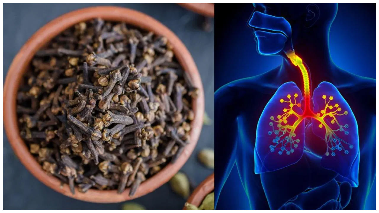 Clove Benefits: చలికాలంలో పొడిదగ్గు, ఈ సమస్యలు వేధిస్తున్నాయా? లవంగాలతో అద్భుతమైన ప్రయోజనం