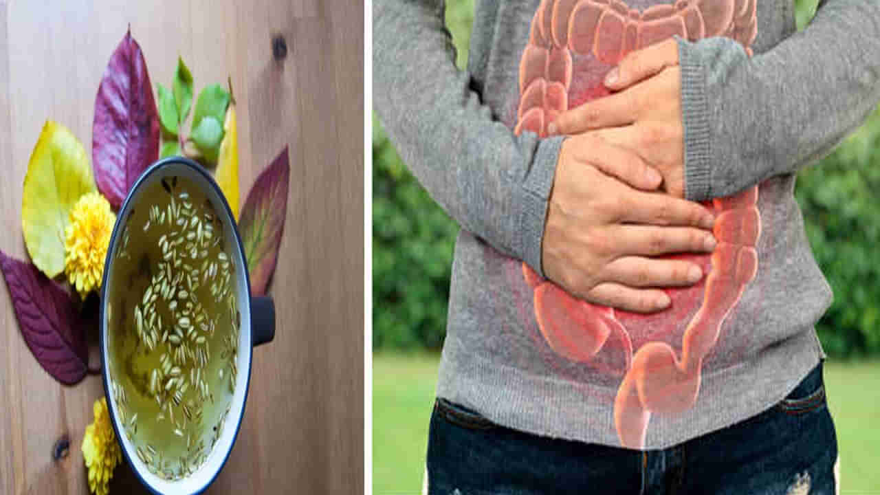 Ayurveda Tips: మలబద్దకంతో ఇబ్బంది పడుతున్నారా.. ఈ వంటింటి ఆయుర్వేద చిట్కాలు ట్రై చేసి చూడండి..