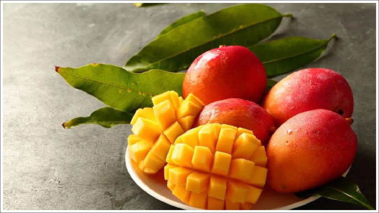 మామిడి: పండిన మామిడిని గర్భధారణ సమయంలో తినడం సురక్షితం. ఇది అవసరమైన విటమిన్లను అందిస్తుంది. పండని మామిడి పండ్లను ఎక్కువగా తినకూడదు. పండని మామిడిలో గర్భాశయ సంకోచాలకు కారణమయ్యే సమ్మేళనాలు ఉంటాయి.