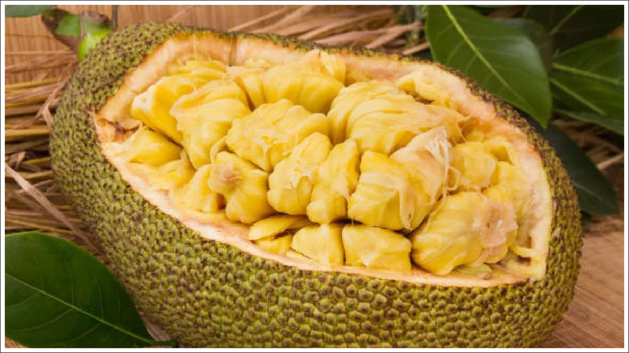 జాక్‌ఫ్రూట్: జాక్‌ఫ్రూట్ ఒక సాధారణ ఉష్ణమండల పండు. ఈ పండు మితంగా తీసుకోవడం సురక్షితం అయినప్పటికీ, కొంతమంది గర్భిణీ స్త్రీలు ఇందులో అధిక ఫైబర్ కంటెంట్ కారణంగా జీర్ణ సమస్యలను ఎదుర్కొంటా