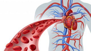 Yoga: పరీక్షల వేళ ఈ యోగాసనాలు చేయండి.. జ్ఞాపకశక్తి పెంచుకోండి..