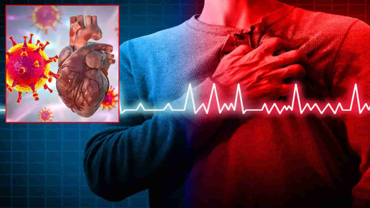 Heart attack: గుండెపోటుకు, కరోనాకు మధ్య సంబంధం ఏంటి.? అసలీ మరణాలు ఎందుకు.?