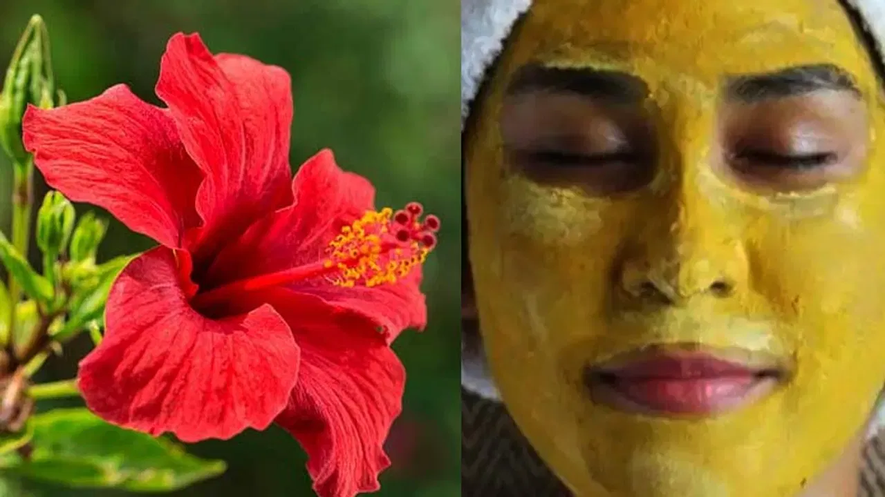 మందార పువ్వును గ్రౌండ్ చేసి అలోవెరా జెల్‌ను కలపండి. ఈ ఫేస్ ప్యాక్‌ ముఖానికి అప్లూ చేసి.. 15 నిమిషాల తర్వాత నార్మల్ వాటర్‌తో ముఖం కడుక్కుంటే.. జిడ్డు పోయి.. ఫేస్ క్లియర్‌గా ఉంటుంది.
