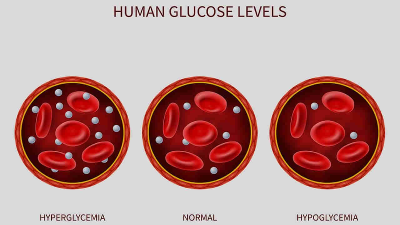 Health: రక్తంలో చక్కెర స్థాయిలు తగ్గితే పెను సమస్యలు.. ఏకంగా కోమాలోకి