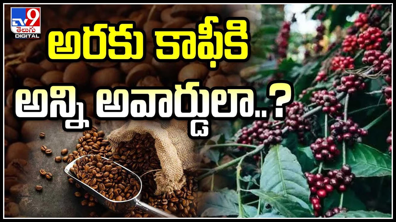 Araku Coffee: అరకు కాఫీకి అంతర్జాతీయ అవార్డు.! కేంద్ర మంత్రుల చేతులమీదుగా అవార్డు..