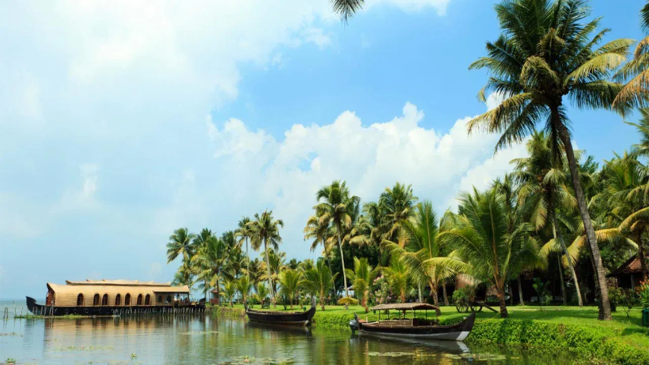 అందులోనూ కేరళలో ఎటు చూసినా.. చెట్లే ఎక్కువగా ఉంటాయి. జనవరి నెల అలాంటి ప్రదేశాలకు చూడటానికి చాలా బావుంటుంది. కేరళలో బ్యాక్ వాటర్స్, హౌస్ బోట్లు చాలా ప్రసిద్ధి. చల్లటి పొగమంచు, సూర్యరశ్మి లేని చల్లని వాతావరణం విహార యాత్రకు తగినట్లు ఉంటుంది. ఎంత నడిచినా అలసట రాదు.
