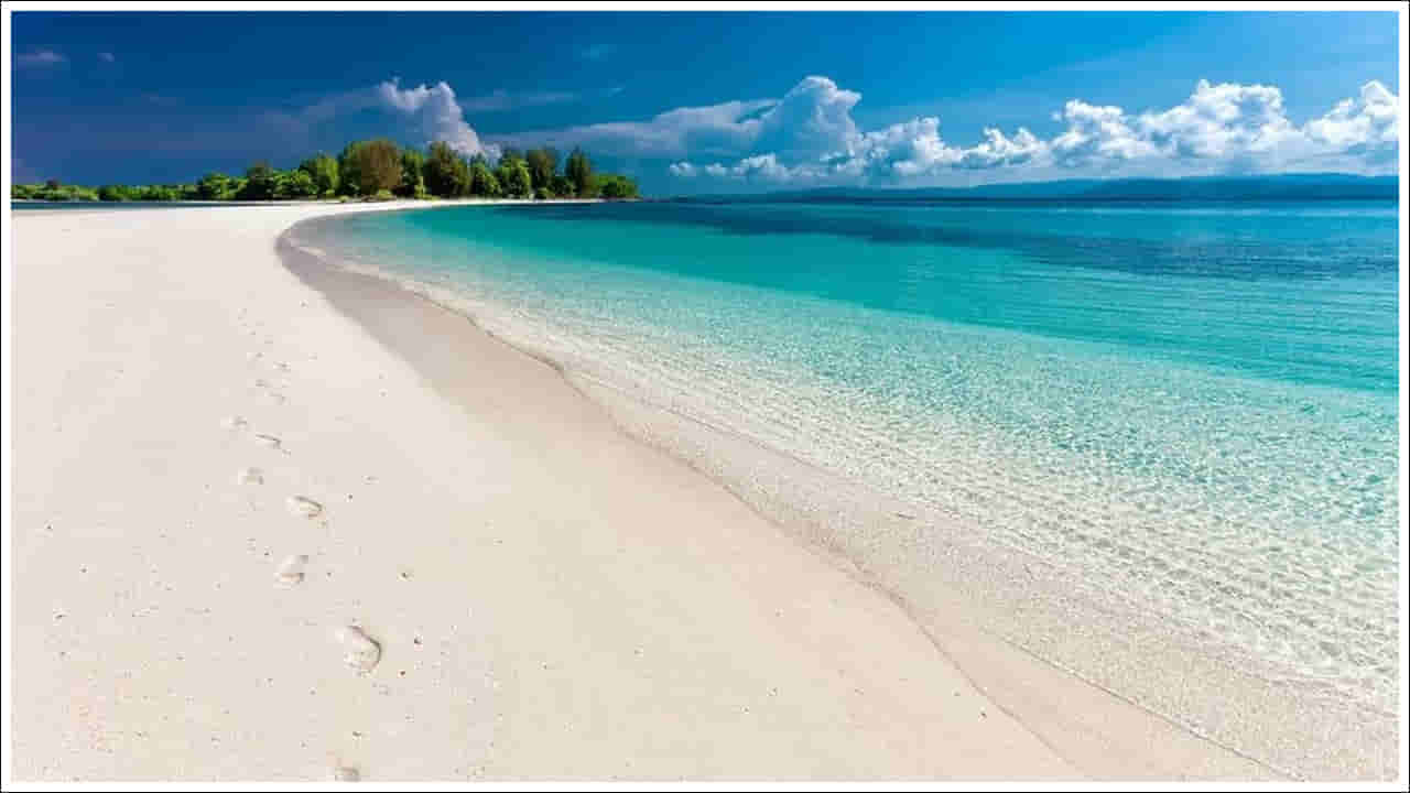 Paytm Offers: మీరు లక్షద్వీప్కు వెళ్లాలనుకుంటున్నారా..? అయితే పేటీఎం అద్భుతమైన ఆఫర్