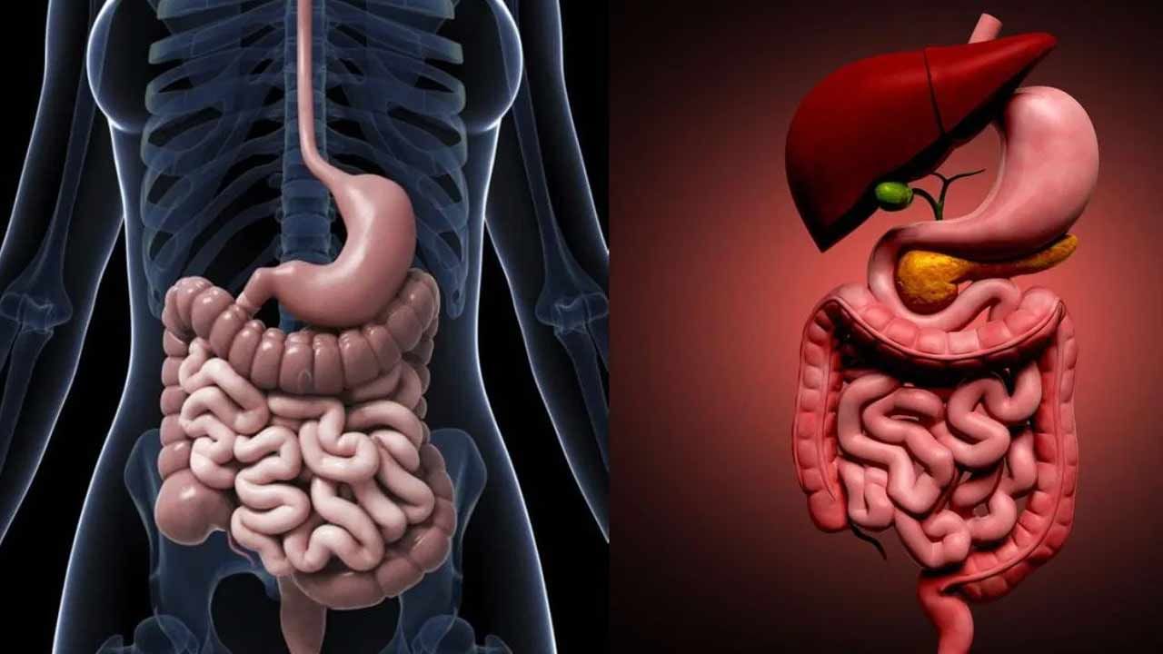 జీర్ణవ్యవస్థను మెరుగుపరుస్తుంది: బలహీనమైన జీర్ణవ్యవస్థ కారణంగా, మలబద్ధకం, కడుపు నొప్పి, అపానవాయువు వంటి సమస్యలు కూడా సంభవించవచ్చు.  ఈ సమస్యలన్నింటినీ నివారించడానికి, మీరు ప్రతిరోజూ కనీసం 20 నిమిషాల పాటు మీ పాదాలను గోడకు ఆనుకుని నిద్రించాలి.