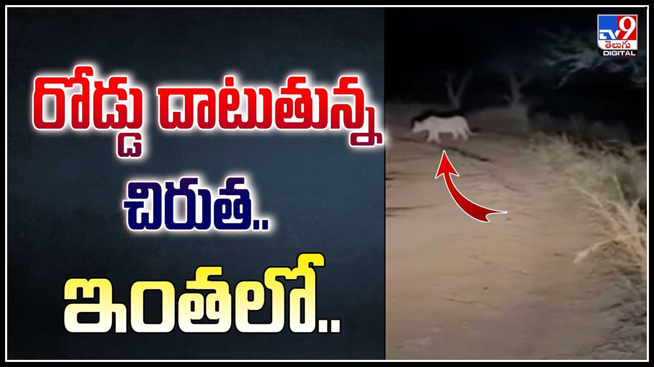 Leopard: అనంతపురం జిల్లాలో చిరుత రోడ్డు దాటుతుంది.! ఇంతలో..