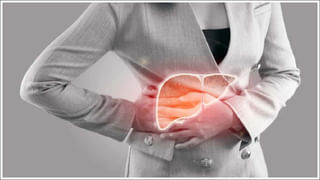 Pregnancy: గర్భధారణ సమయంలో మహిళలు వీటిని తినకూడదు.. తల్లి, బిడ్డ ఇద్దరికీ హాని