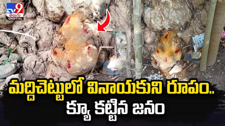 మద్దిచెట్టులో వినాయకుని రూపం..వింతను చూసేందుకు క్యూగట్టిన జనం మద్దిచెట్టులో వినాయకుని రూపం..వింతను చూసేందుకు క్యూగట్టిన జనం