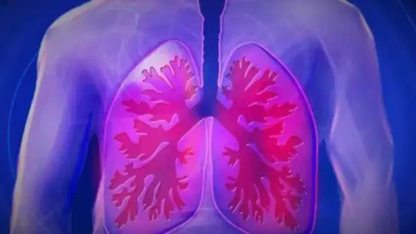 Lung Cleaning Foods: ఈ ఆహారాలను తీసుకుంటే.. ఊపిరిత్తిత్తులు శుభ్రంగా ఉంటాయ్!