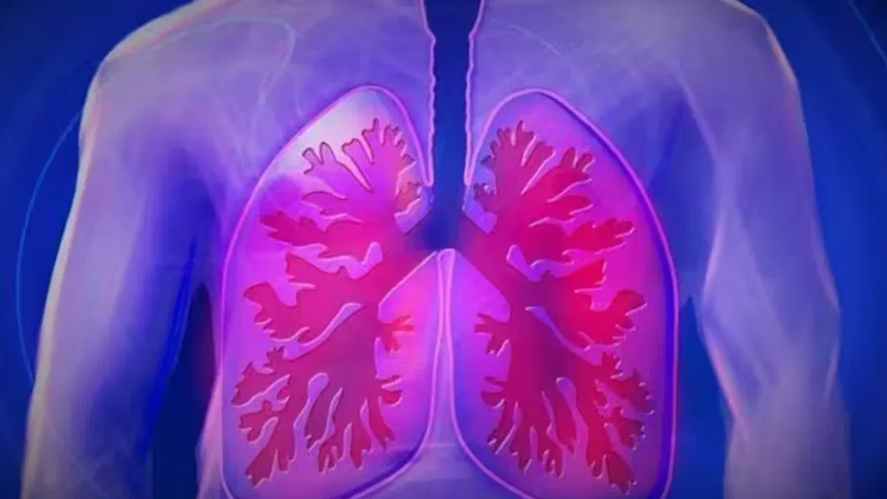 Lungs Care: ఈ చిట్కాలు పాటిస్తే మీ ఊపిరితిత్తులు ఆరోగ్యంగా ఉంటాయి..