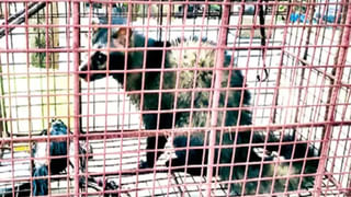 Nellore: హైవేపై తీవ్రగాయాలతో MLC.. అటుగా వెళ్తున్న జానీ మాస్టర్ వెంటనే స్పందించి..