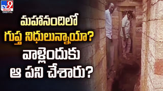 Viral News: ప్రపంచంలోనే రెండో అతిపెద్ద పక్షి.. ఒక్క అడుగులో ఎంత దూరం పరిగెడుతుందో తెలిస్తే షాక్ అవుతారు..