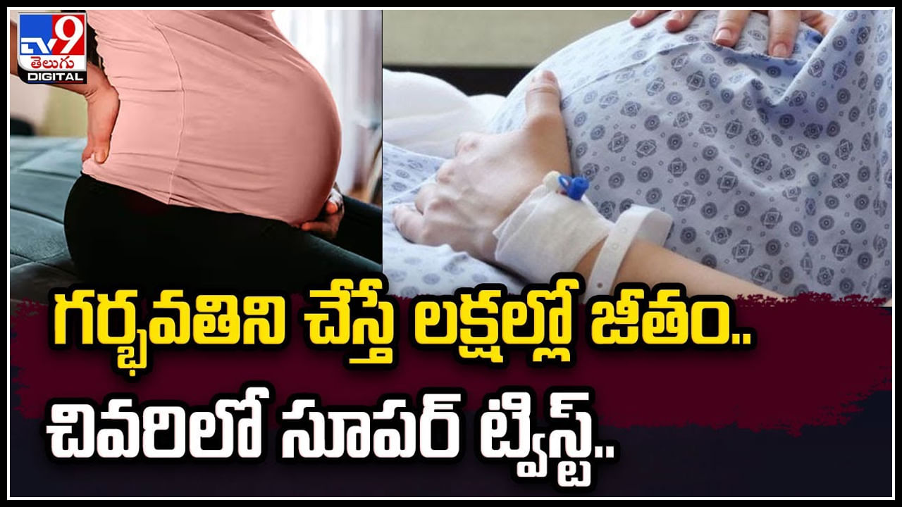 Pregnant Job: గర్భవతిని చేస్తే లక్షల్లో జీతం.. చివరిలో సూపర్‌ ట్విస్ట్‌.!