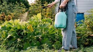 IRCTC Booking: రైలు టిక్కెట్‌ను ఇతరుల పేరుపై బదిలీ చేయవచ్చా? ఈ సింపుల్‌ టిప్స్‌ పాటిస్తే సాధ్యమే..!