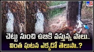 AP News: బైక్‌తో సహా షాపులోకి దూసుకెళ్లాడు.. అతడెవరో తెలిసి మతిపోయింది