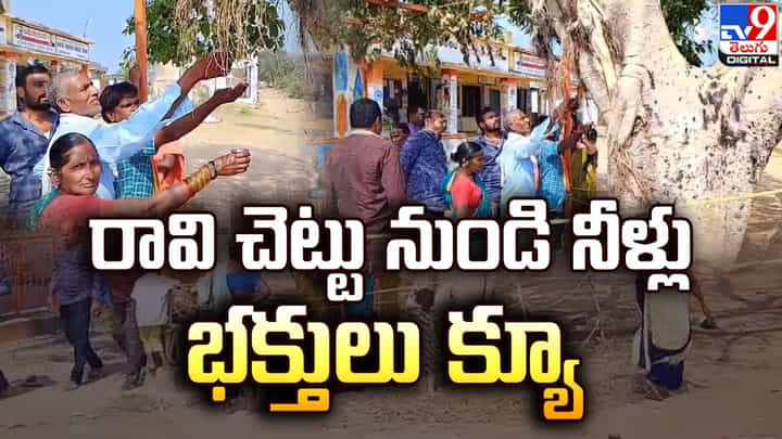 చెట్టు నుంచి ఉబికి వస్తున్న పాలు.. వింత ఘటన ఎక్కడో తెలుసా ?? చెట్టు నుంచి ఉబికి వస్తున్న పాలు.. వింత ఘటన ఎక్కడో తెలుసా ??