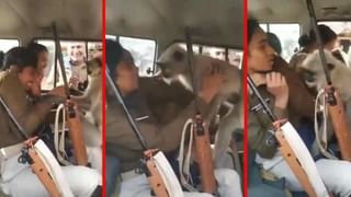 Viral Video: అర్ధరాత్రి తప్పతాగిన యువతి.. ఒంటిపై సరైన బట్టలు కూడా లేని స్థితిలో.. ఉబెర్‌ డ్రైవర్‌ చేసిన పనికి నెటిజన్ల రియాక్షన్‌..