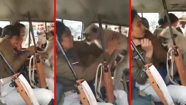 Viral Video : కోతిపై ఎఫ్ఐఆర్ నమోదు..! మహిళా పోలీసులను వేధించిన వానరం..!! వైరలవుతున్న వీడియో