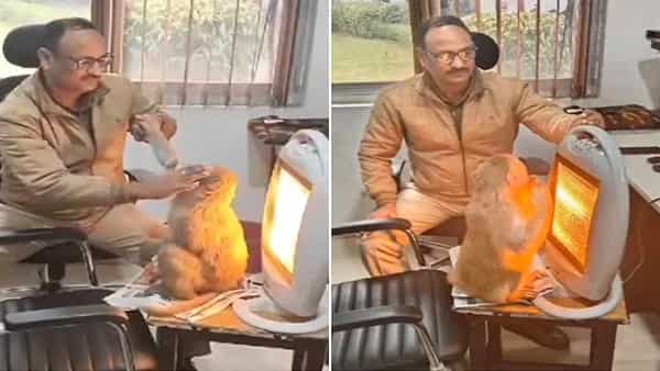 Viral Video: పాపం.. చలిని తట్టుకోలేక పోలీస్ క్యాంప్ ఆఫీస్లో దూరిన కోతి... ఆ తర్వాత ఏం జరిగిందంటే..