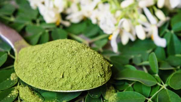 Moringa Leaves for Hair: మునగాకుతో జుట్టు రాలడాన్ని ఇలా కంట్రోల్ చేసుకోండి!
