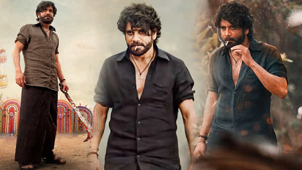 Naa Saamiranga Collections: నా సామిరంగ మూడు రోజుల కలెక్షన్స్.. నాగార్జున మాస్ జాతర్ సెన్సెషన్..