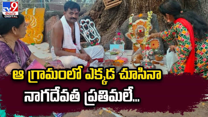 ఆ గ్రామంలో ఎక్కడ చూసినా నాగదేవత ప్రతిమలే ఆ గ్రామంలో ఎక్కడ చూసినా నాగదేవత ప్రతిమలే