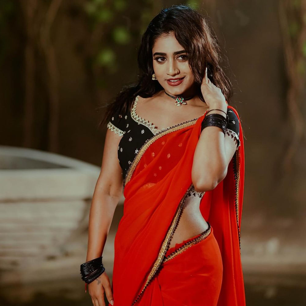 కుర్చి మడతపెట్టి పాటకు వీరిద్దరూ కలిసి డాన్స్ ఇరగదీశారు. ఈ పాటలోని కొన్ని స్టెప్పులకు సంబంధించిన ఫోటోలను నెట్టింట షేర్ చేసింది నయని పావని. 