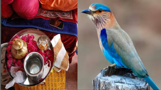 Ayodhya: ప్రాణ ప్రతిష్ట శుభ వేళ ఇంట్లోనే శ్రీ రాముడిని పూజించే పధ్ధతి.. పఠించాల్సిన శ్లోకం ఏమిటంటే