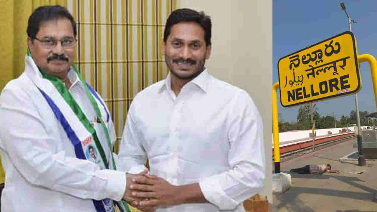 YSRCP: ఆ వైసీపీ ఎంపీతో టీడీపీ మైండ్ గేమ్.. తిప్పి కొట్టిన సీనియర్ నేత..